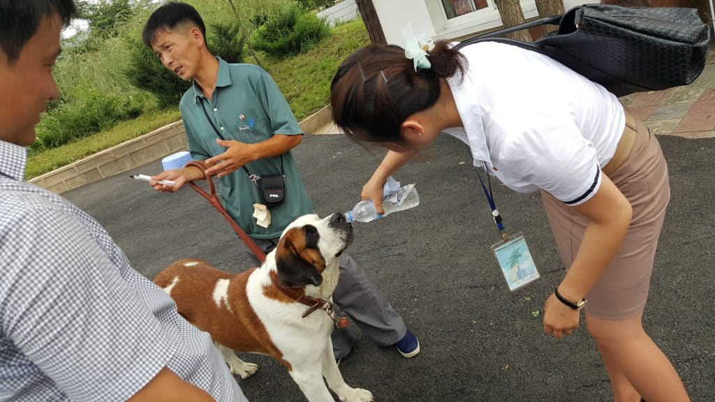 North Korean guide feeding a dog at Pyongyang central zoo