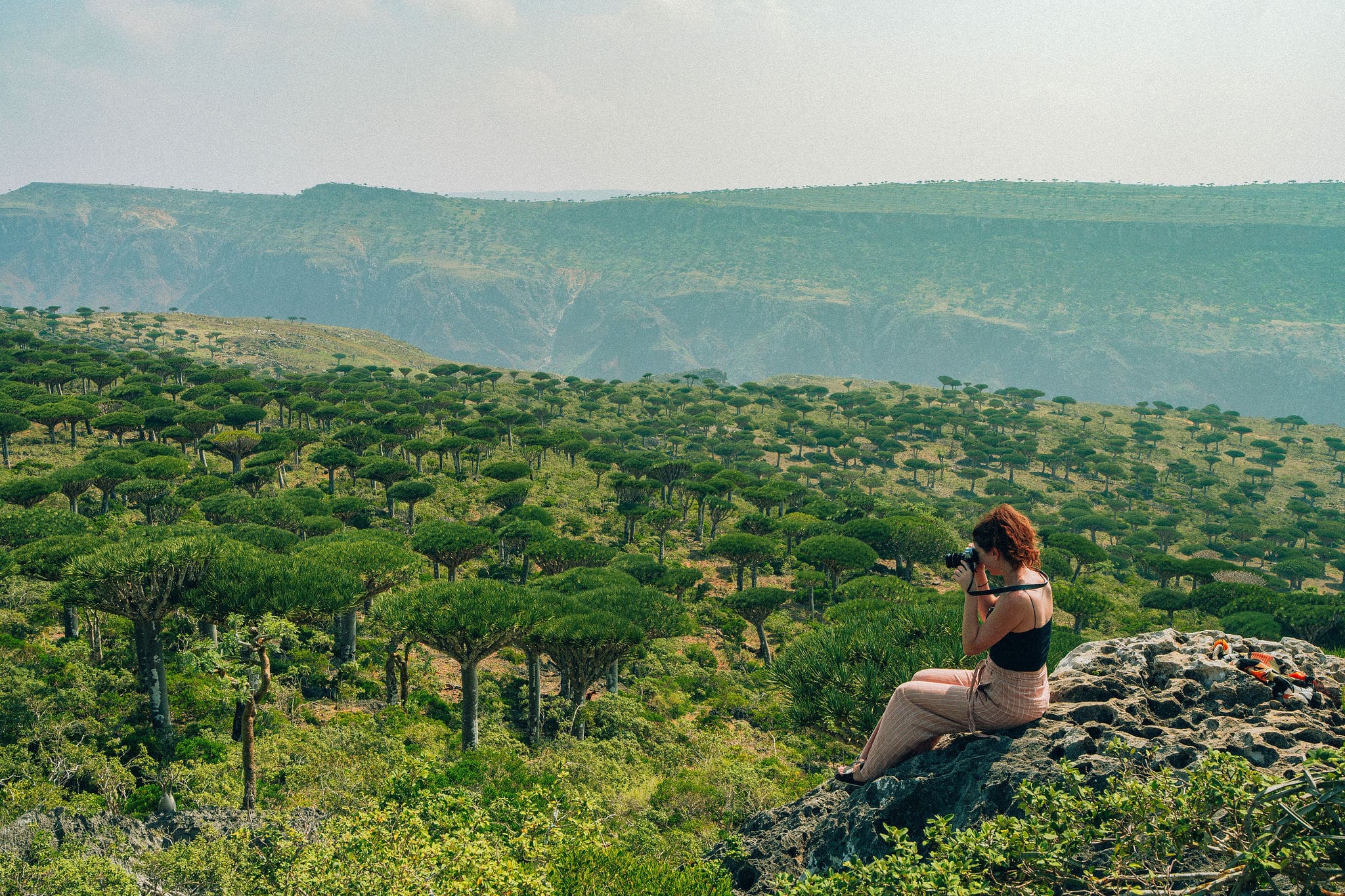Socotra tour