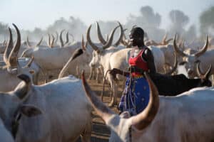 Read more about the article The Complete Traveler’s Guide to South Sudan