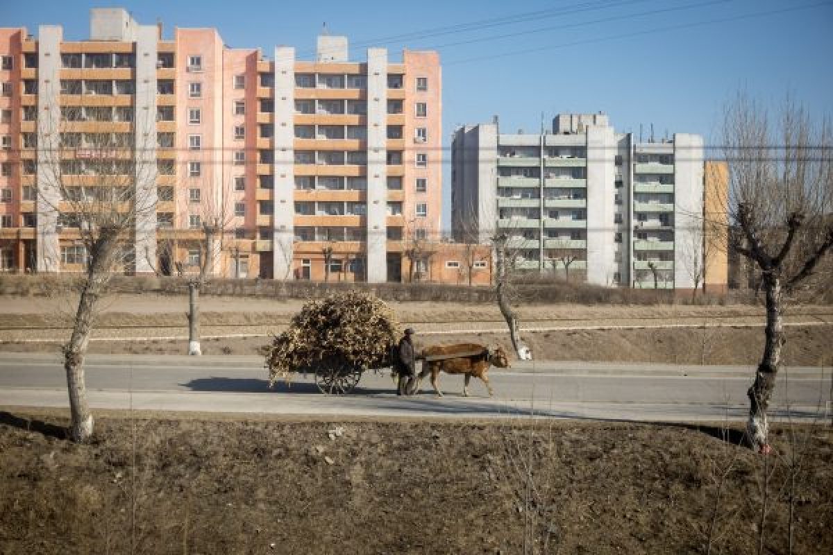 North Korean Train 4 Views from a North Korean train on tour with Rocky Road Travel.